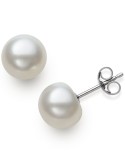 Cultured Button (8-9mm) Stud Earrings