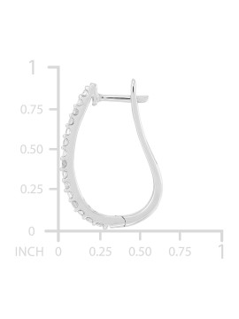 Oval Hoop Earrings (...